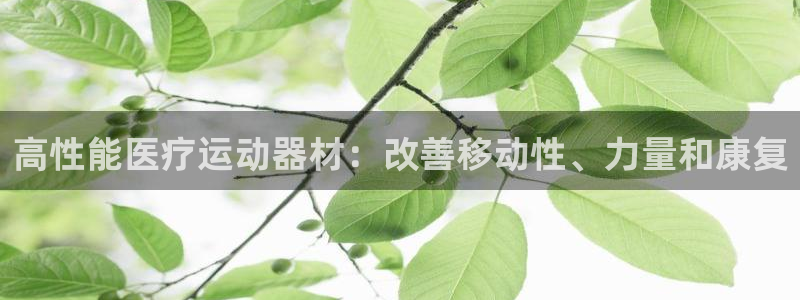 意昂集团官网：高性能医疗运动器材：改善移动性、力量和