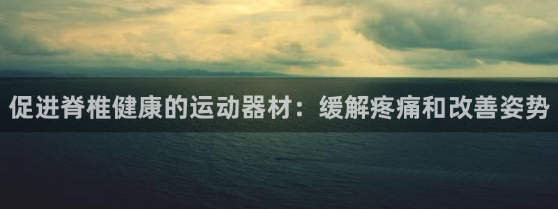 海南意昂体育3：促进脊椎健康的运动器材：缓解疼痛和改