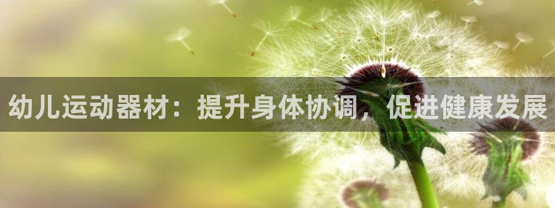 意昂体育3平台:幼儿运动器材:提升身体协调,促进健康发展