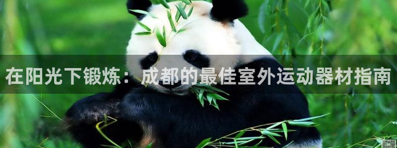 意昂体育3平台:在阳光下锻炼:成都的最佳室外运动器材指南