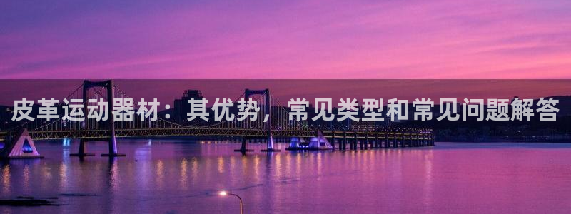 意昂3娱乐网站:皮革运动器材:其优势,常见类型和常见问题解答