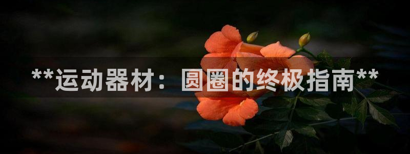 意昂3娱乐网站:**运动器材:圆圈的终极指南**