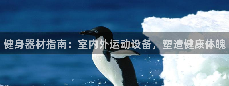 意昂3开户:健身器材指南:室内外运动设备,塑造健康体魄